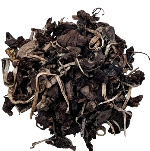 DjonDjon Black Haitian Mushrooms - Rare Mountain-Grown Culinary Delicacy (3-Pack, 24g each)