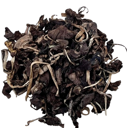 DjonDjon Black Haitian Mushrooms - Rare Mountain-Grown Culinary Delicacy (24g)
